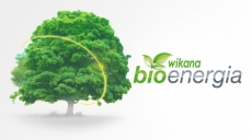 wikana bio